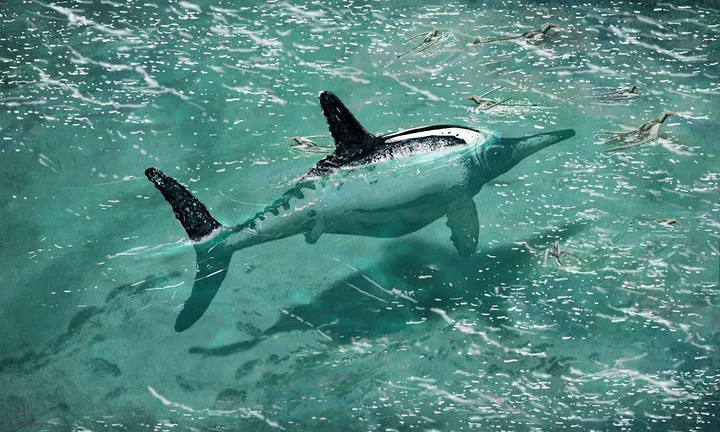 Một con thằn lằn cá Opthalmosaurus đang bơi trong vùng nước nông