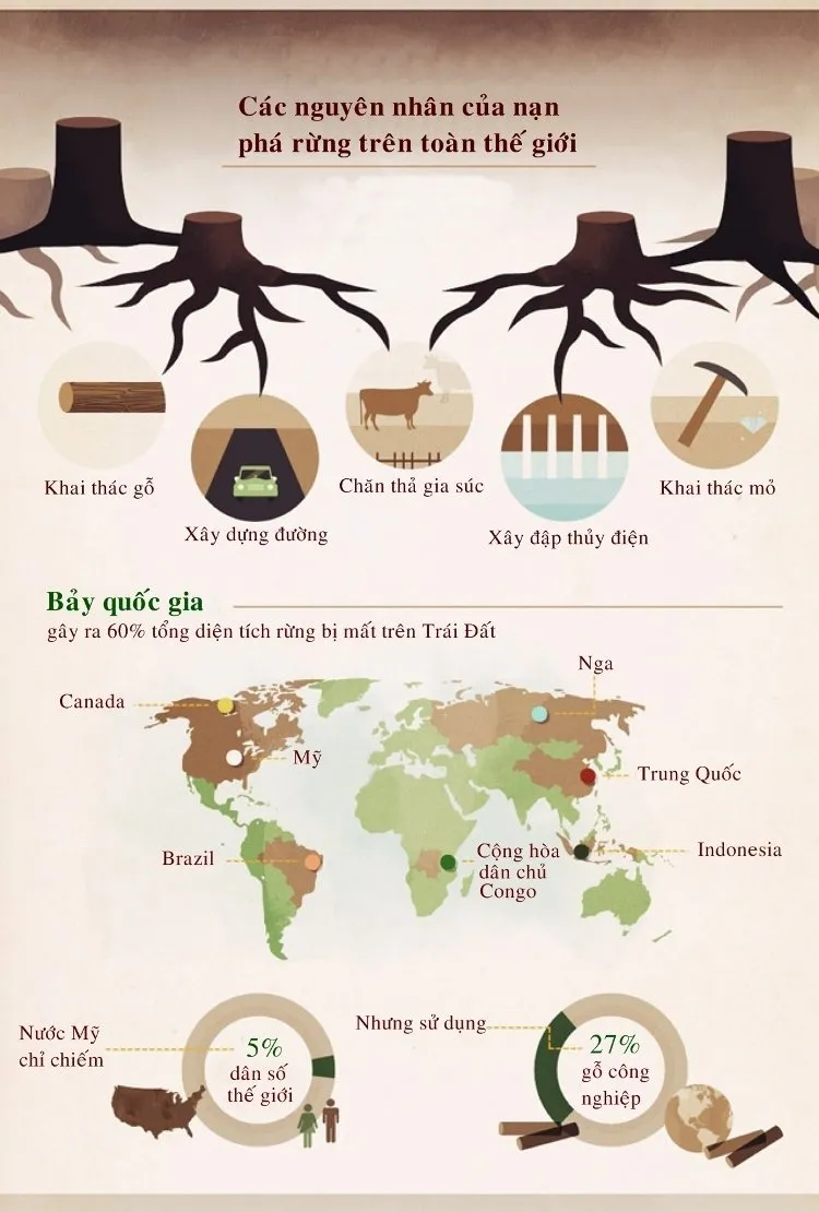 Khai thác gỗ, xây dựng đường, chăn thả gia súc.... là những nguyên nhân của nạn phá rừng trên toàn thế giới.