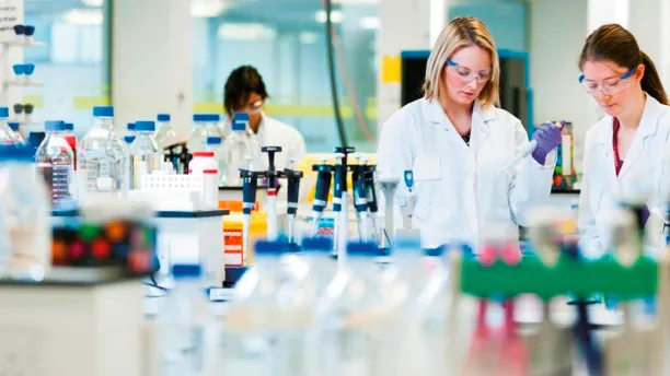 Có nhiều loại E. coli, nhưng may mắn thay phần lớn chúng có thể nói là vô hại.