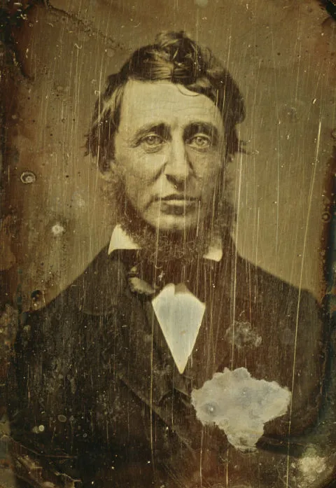 Henry David Thoreau.