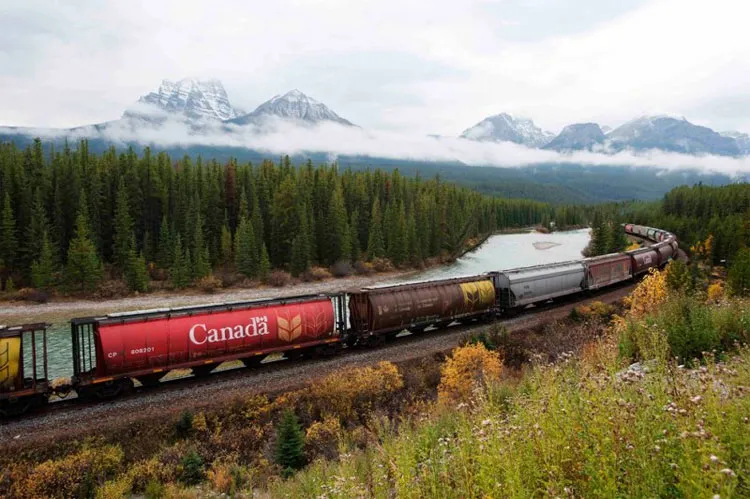 Rừng ở Canada.