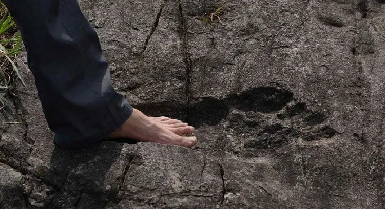 Dấu chân người khổng lồ hóa thạch được phát hiện ở làng Pingyan.