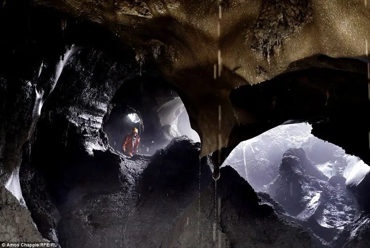 Họ sục sạo ở vùng Siberia xa xôi, lẩn trốn cảnh sát, khoan sâu vào các tảng băng hàng triệu năm tuổi để tìm kiếm xác động vật hóa thạch thời tiền sử.