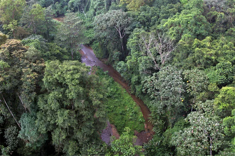 Thành phố Trắng nằm ở La Mosquitia, Honduras