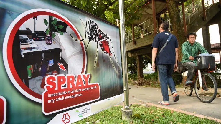 Số trường hợp nhiễm Zika ở Singapore lên gần 100 người.