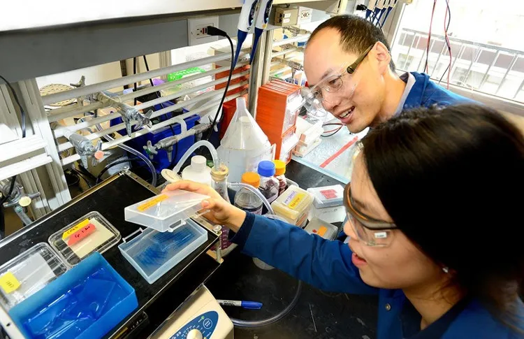 Giáo sư Chris Chang (phía sau) đến từ Đại học California Berkeley.