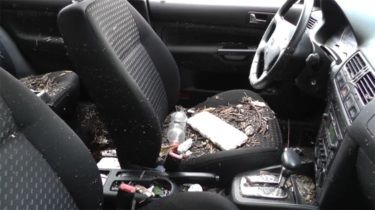 Ô tô bị ngập nước có thể biến thành một đống phế liệu như chơi.