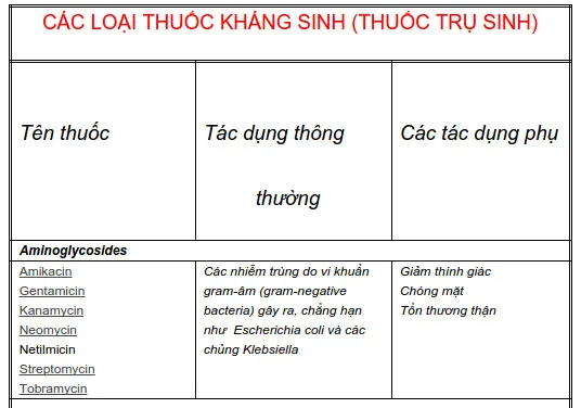 Thuốc kháng sinh là gì và phân loại thuốc kháng sinh
