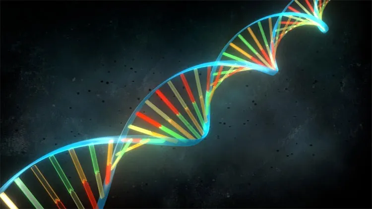 Mã vạch DNA đã đơn giản hóa quá mức công việc của nhà phân loại.