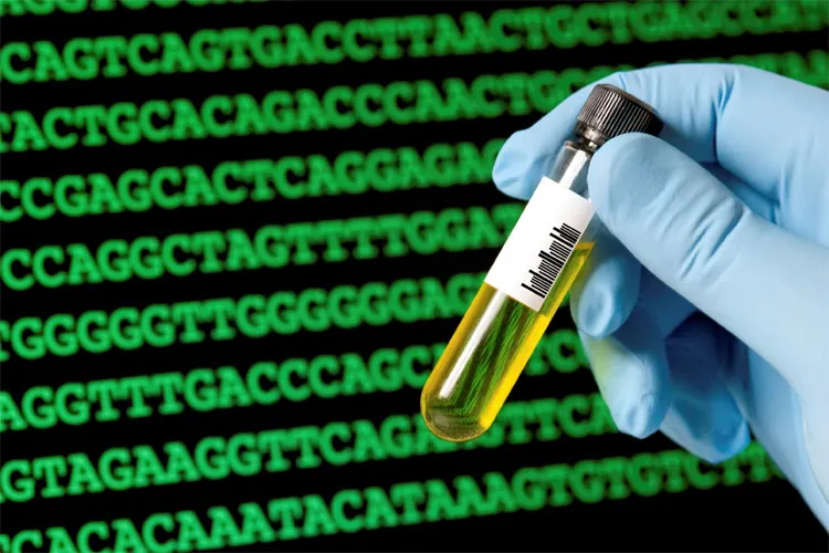Phân loại học truyền thống sẽ được thay thế bằng mã vạch DNA.