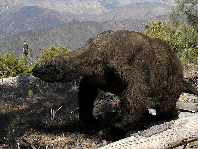 Megatherium sinh sống trong các khu vực rừng thưa của Nam Mỹ