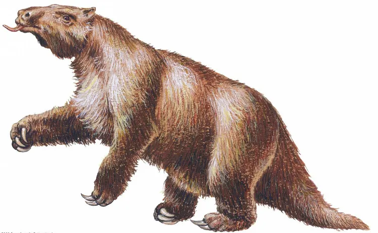 Megatherium còn được gọi là lười đất khổng lồ
