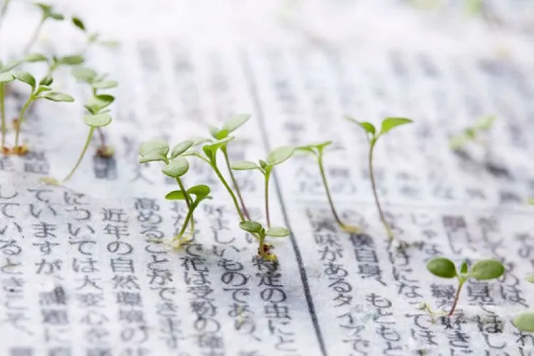 Giấy báo của tờ Mainichi Shimbun được làm từ hỗn hợp giấy tái chế trộn với những hạt giống hoa nhỏ.