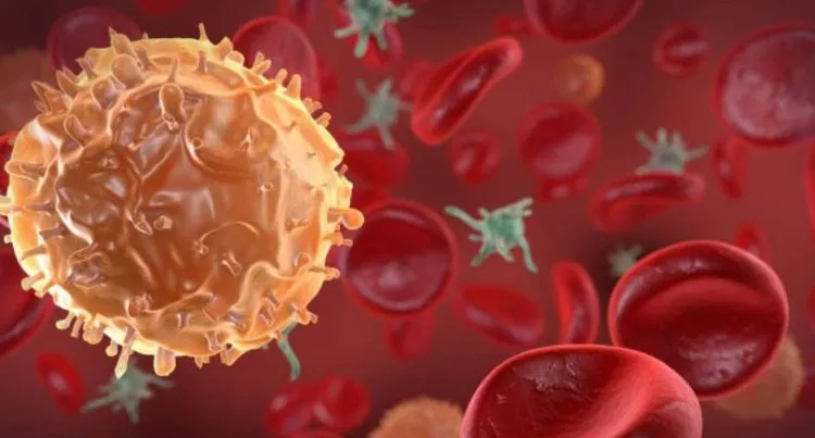 Tế bào bạch huyết ở những đứa trẻ này không quan tâm đến virus HIV và để mặc cho chúng tồn tại.