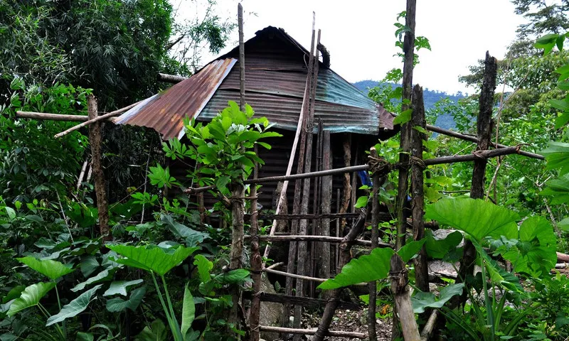 Căn chòi của ông Châu nằm giữa rừng sâu ở thôn Tang, xã Trà Bùi.