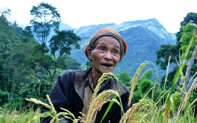 Thương hoàn cảnh neo đơn của ông Châu, năm 2016, dân làng phát rẫy, tỉa lúa hay tặng một số giống rau giúp ông có thêm lương thực để sống giữa núi rừng.