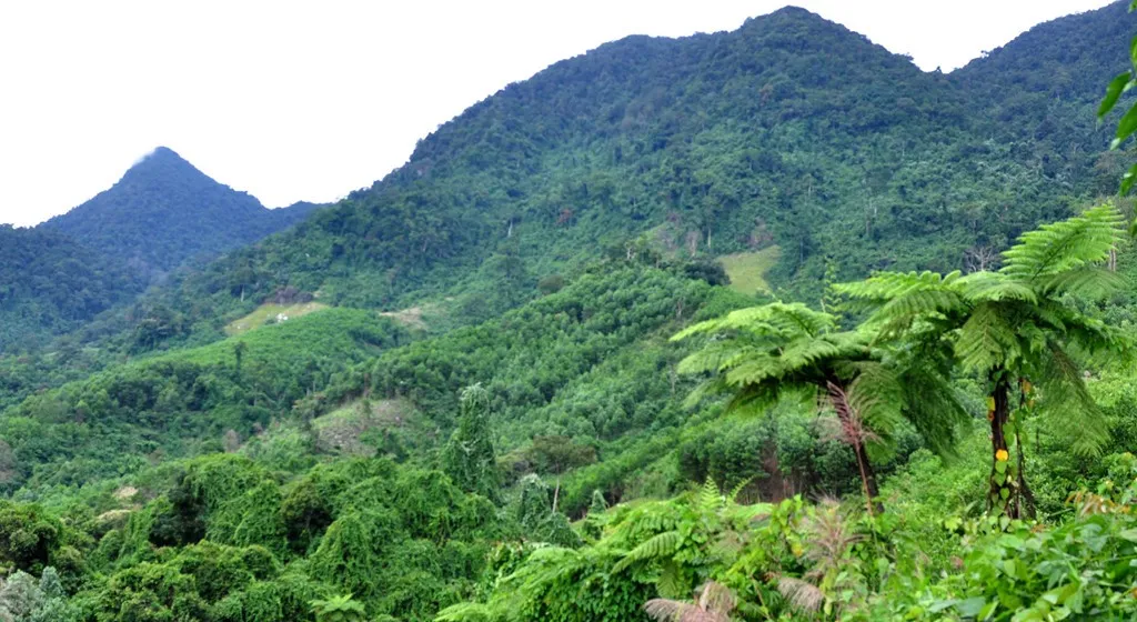 Quần thể khu sinh thái Cà Đam, huyện vùng cao Trà Bồng (Quảng Ngãi)