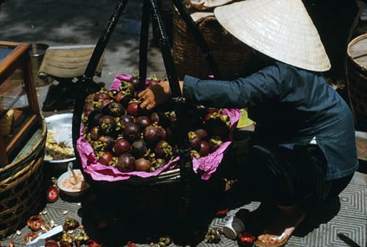 Quầy măng cụt ăn ngay tại chỗ.