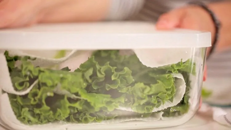 Chuẩn bị rau cho món salad