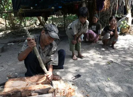 Một người đàn ông dân tộc Rục bào thân cây đoác để phơi khô làm nguyên liệu nấu món cơm nhúc.