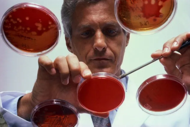 Vi khuẩn Prokaryote