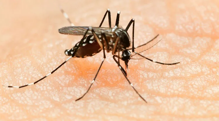 Virus tồn tại trong tinh dịch lên đến 6 tháng.