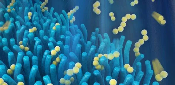 Những dây kẽm này có thể ngăn pin lithium-sulphur xuống cấp một cách cực kì hiệu quả.