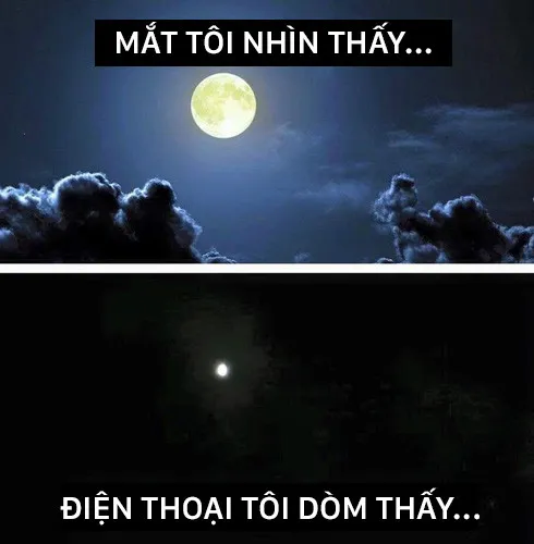 Sự thật mà chúng ta thường thấy là như thế này.