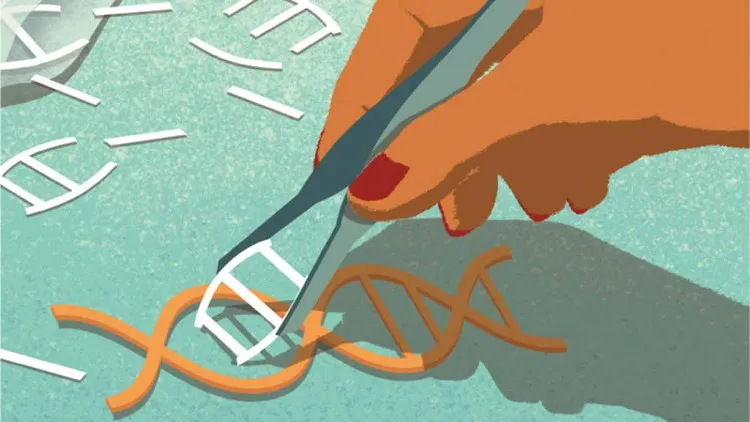 Một nhóm các nhà khoa học Trung Quốc khác cũng đã thí nghiệm CRISPR trên phôi thai người nhưng kết quả chưa được như kỳ vọng.