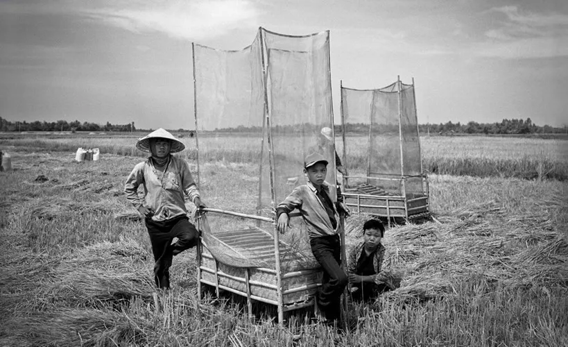 Một gia đình nông dân trên cánh đồng ở Củ Chi, 1994.