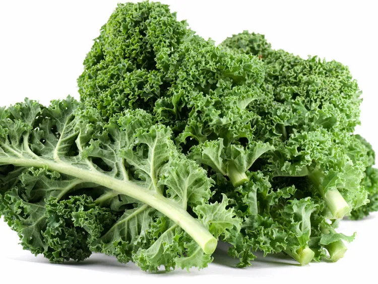Ăn những thực phẩm giàu Carotenoid giúp tăng cường hoạt động não bộ ở người cao tuổi.