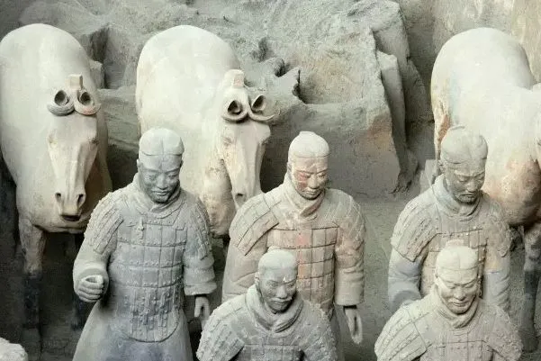 Trong lăng mộ, ngựa là loài động vật có số lượng nhiều nhất.