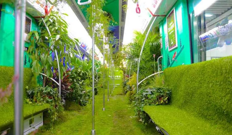 Cây cối bên trong toa tàu còn "sống" và phát triển.