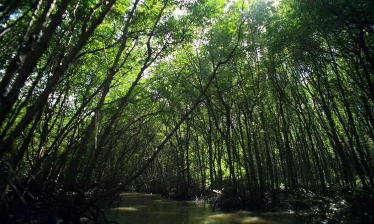 Tổng diện tích khu dự trữ sinh quyển này là 75.740 ha