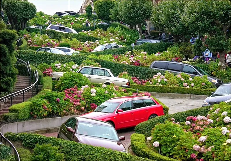 Ôtô nhấp nhô trên đoạn dốc quanh co, giữa những luống hoa trên phố Lombard.