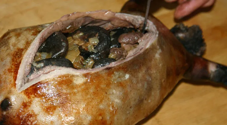 Món Boodog