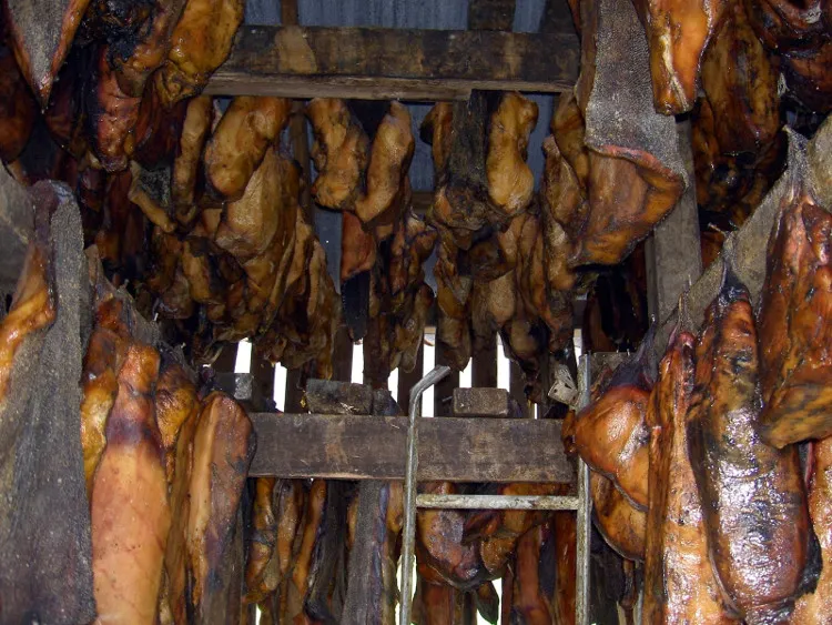 Cá mập lên men