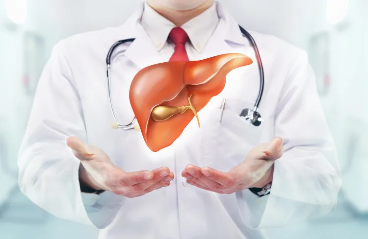 Gan có một khả năng đặc biệt để phát triển trở lại như cũ, ngay cả khi một phần của nó đã bị cắt bỏ.