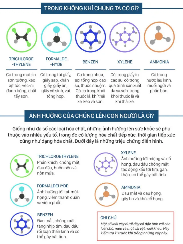 Trong không khí của chúng ta có Trichloroethylene, formanldehyde, benzen, xylenne, ammonia...