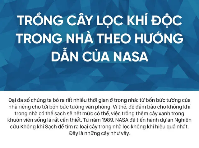 Từ năm 1989 Nasa đã nguyên cứu chương trình không khí sạch để tìm ra loại cây trong nhà lọc không khí tốt nhất.
