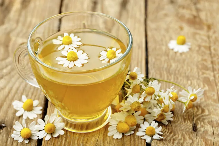 Trà hoa cúc giúp cơ thể ấm áp, dễ chịu.