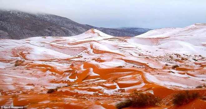 Bức ảnh do nhiếp ảnh gia Karim Bouchetata chụp lại cảnh tuyết rơi ở sa mạc Sahara gần thị trấn Ain Sefra.