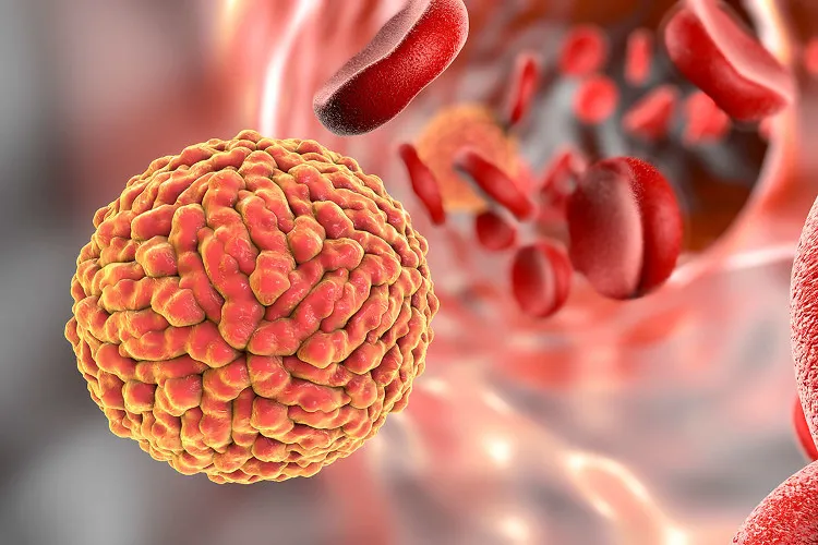 Virus Zika là thủ phạm gây ra dị tật đầu nhỏ cho nhiều trẻ em.