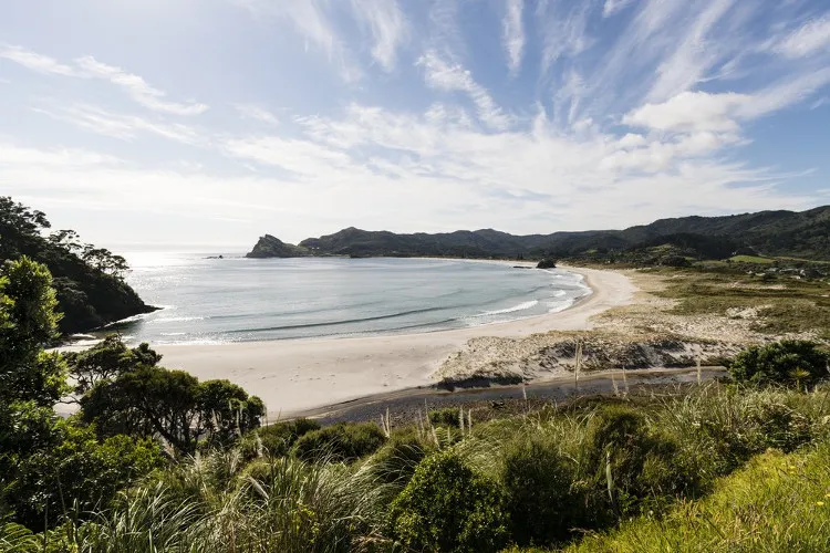 Đảo Great Barrier, New Zealand