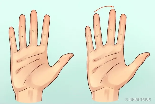 Nếu ngón giữa và ngón áp út cách xa nhau thì bạn là người không dễ dàng bị ảnh hưởng bởi dư luận.