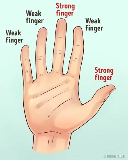 Ngón tay càng "mạnh" (strong) thì tính cách của bạn càng thể hiện rõ ràng hơn.
