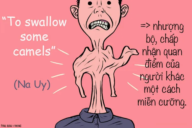 Nếu muốn nói về sự nhân nhượng, chấp nhận quan điểm của người khác một cách miễn cưỡng thì người Na Uy sẽ dùng cụm từ "nuốt vài con lạc đà".