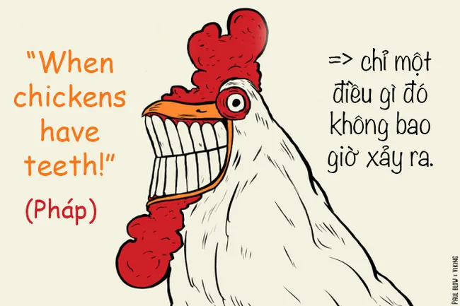 Trong tiếng Pháp, cụm từ "Khi gà có răng" được dùng để chỉ một điều gì đó không bao giờ có thể xảy ra.