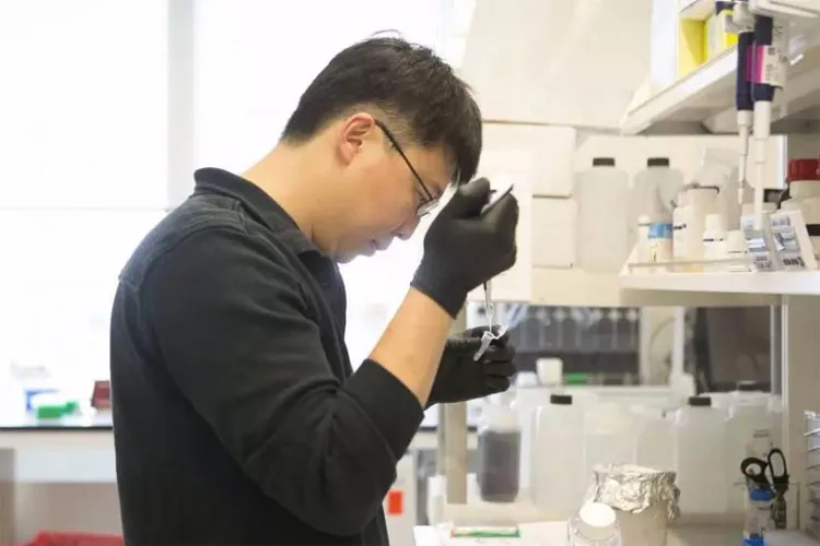 Feng Zhang góp sức mình trong 2 phát hiện khoa học lớn, cả hai đều có cơ hội giành giải thưởng Nobel.