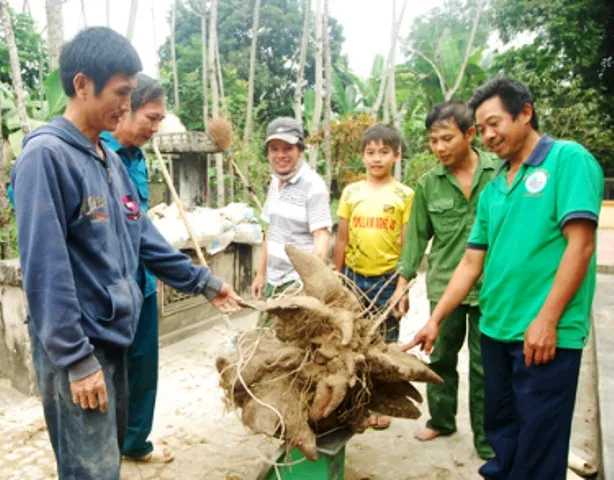 Rất đông người dân hiếu kỳ đến xem củ khoai.